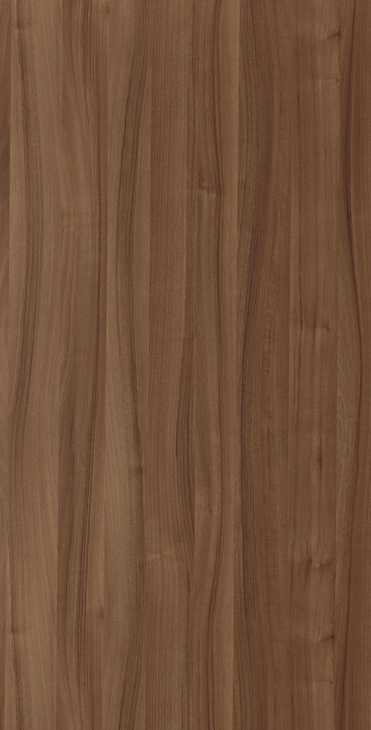 EWN 6875R HPL EDL AUGUSTA WALNUT