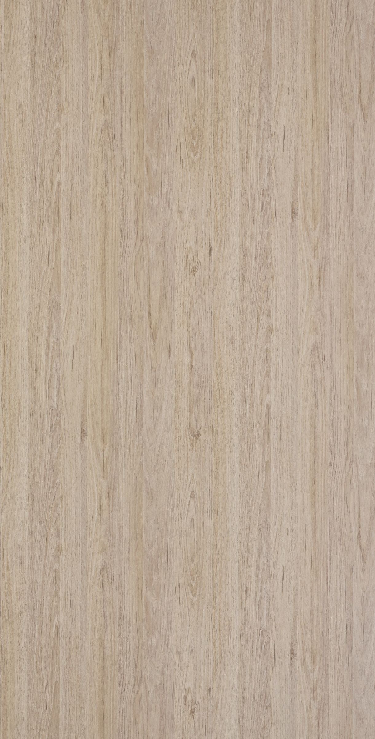 EWD 9980NT HPL EDL SALINAS OAK